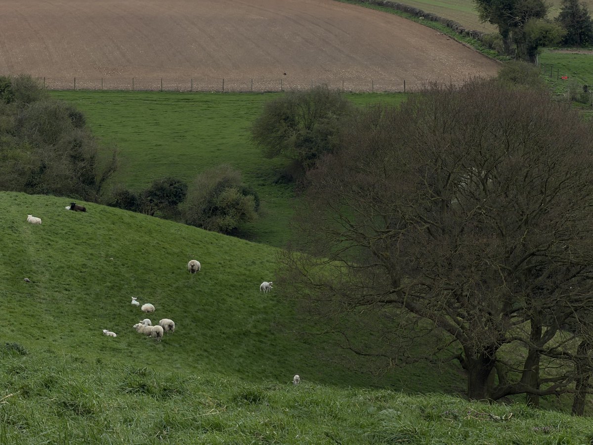 rly cool girl tweet media