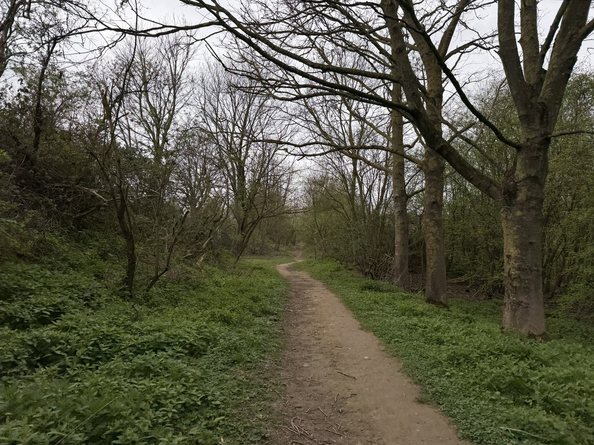 rly cool girl tweet media