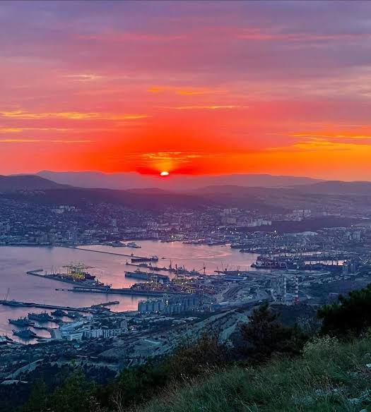 Anna Daryush 🌐 tweet media