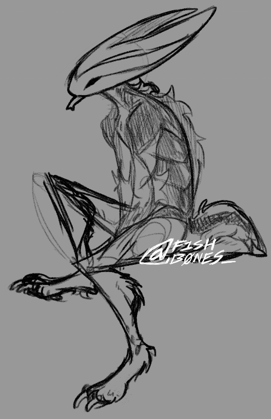 bone broth ⬺ tweet media