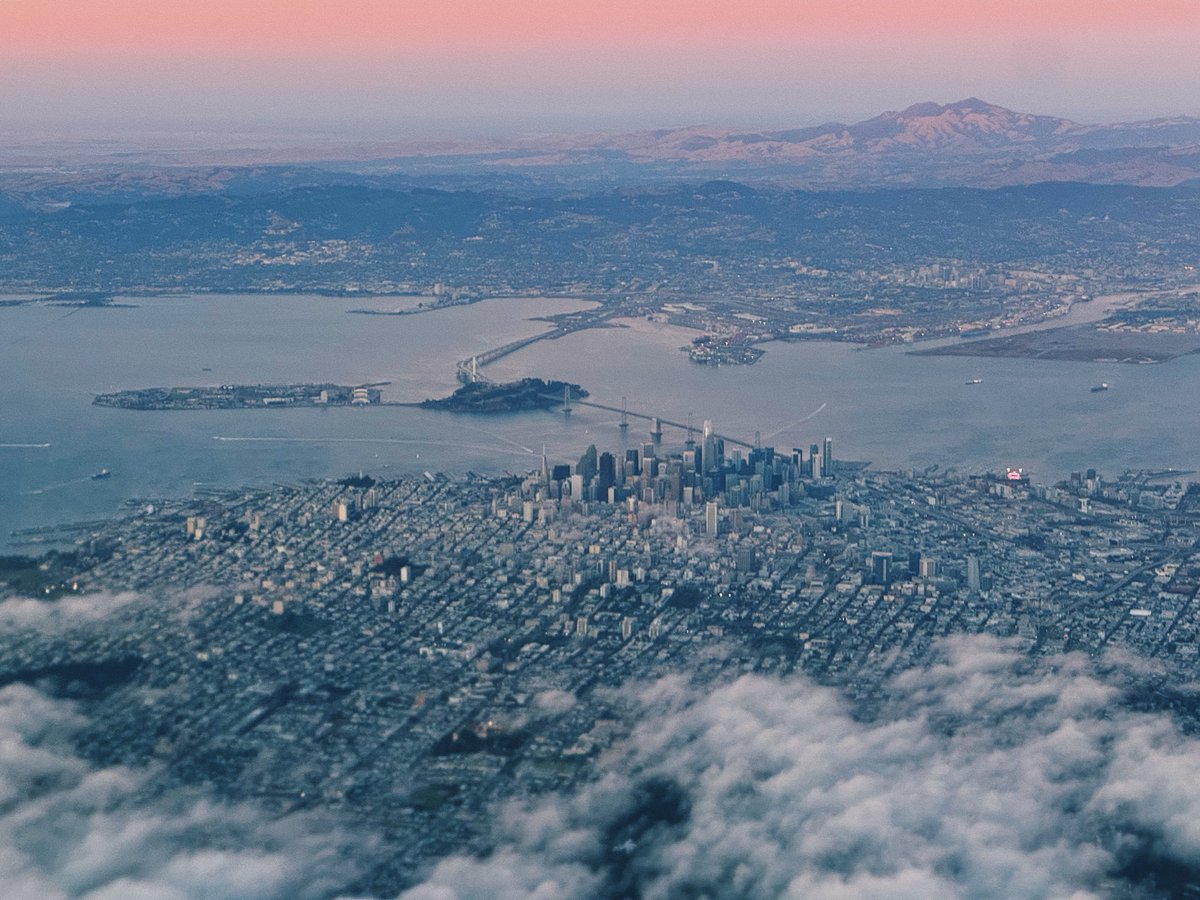 Fin Moorhouse tweet media