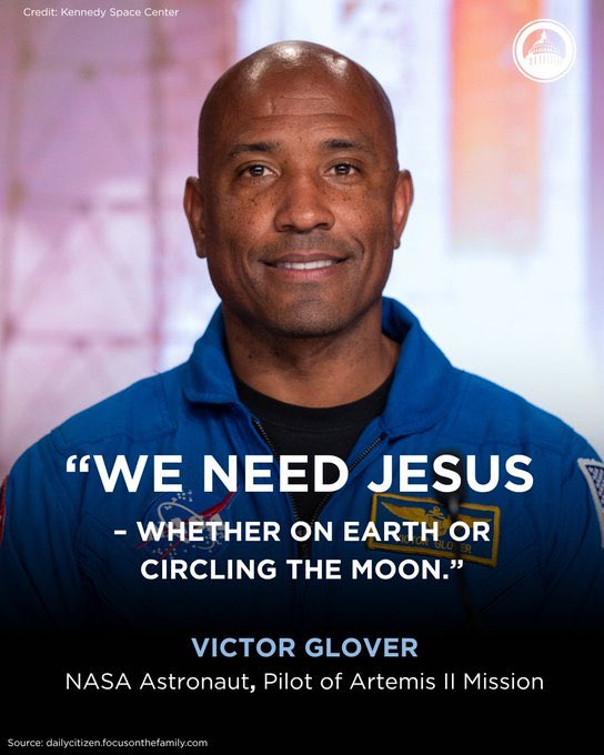 Red Panda Koala tweet media