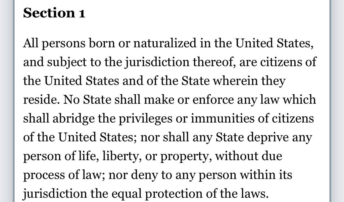 Sami Gold tweet media