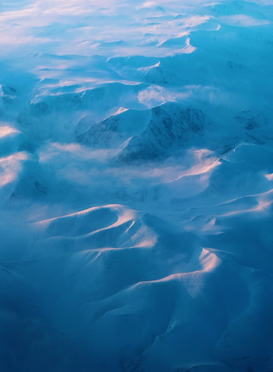 Fin Moorhouse tweet media