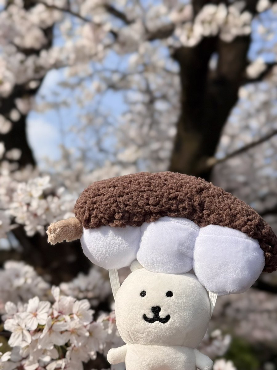 にょろ〜 tweet media