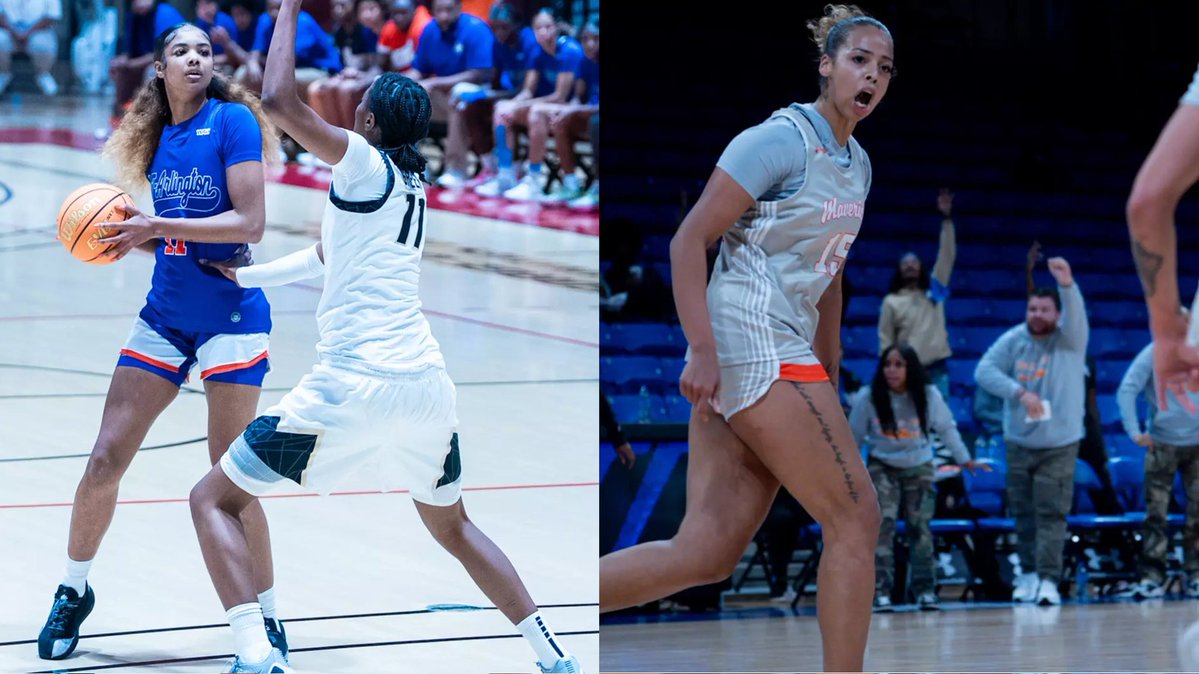 The Ball Out tweet media