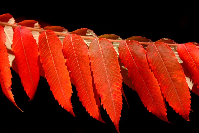 Praveenkumar Hernandez tweet media