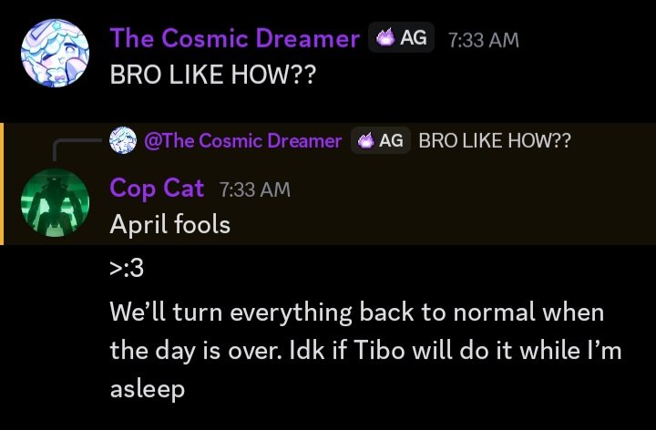 Tibouchina ⭐️ tweet media