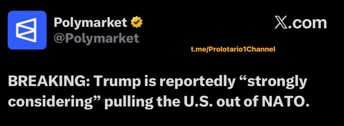 The Real Axel Vasa tweet media