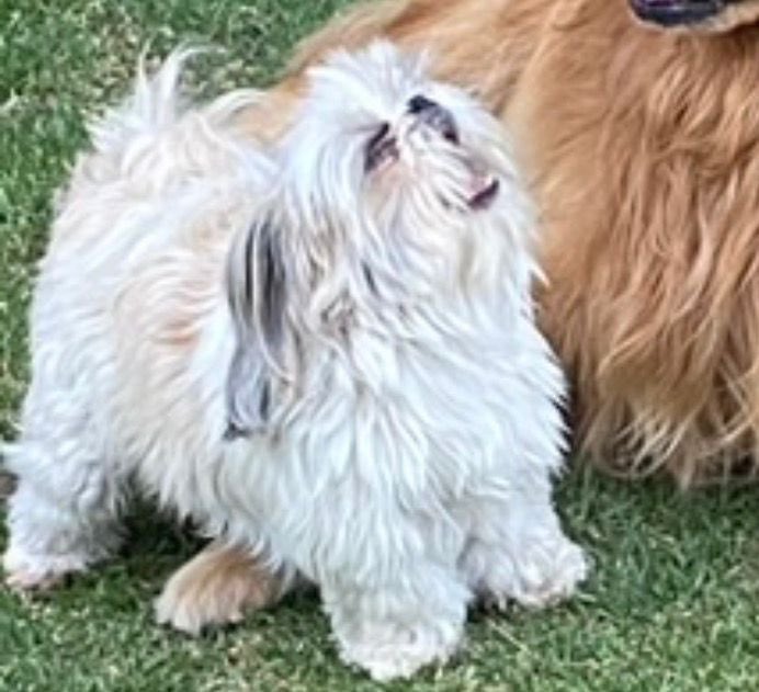 Vero 😎 tweet media