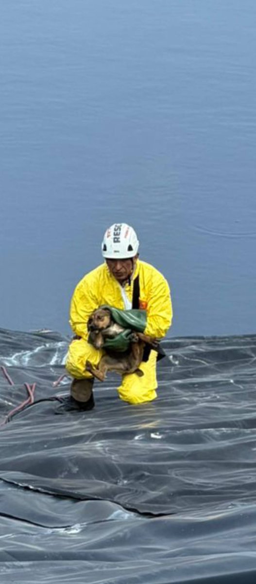 PoderCiudadanoRadio tweet media