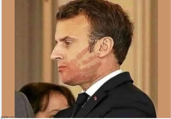 Stock Monkey tweet media