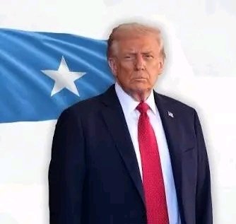 Dr. Ali Hersi tweet media