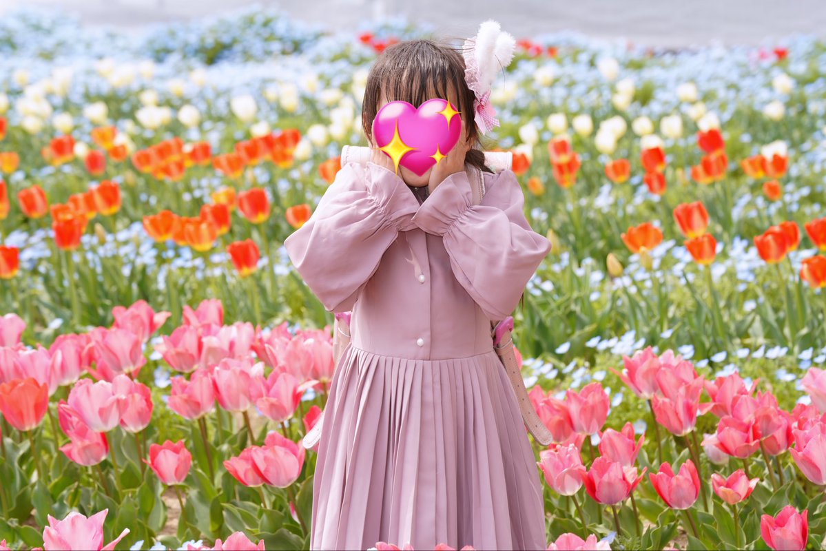 まゆこ 王国民 tweet media