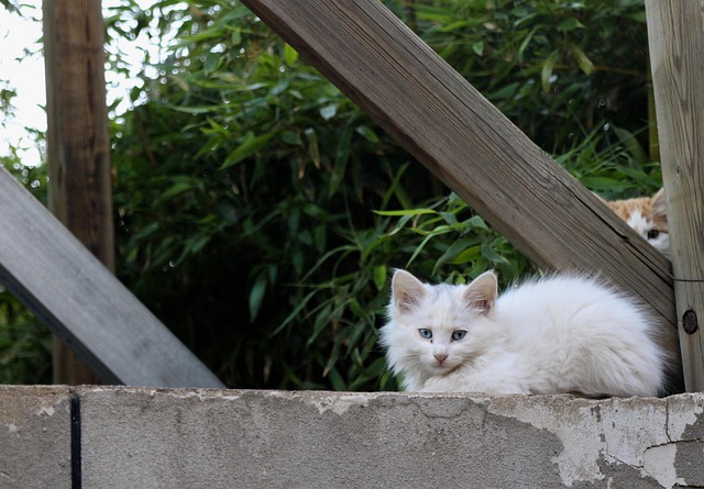 Bryan Germain tweet media