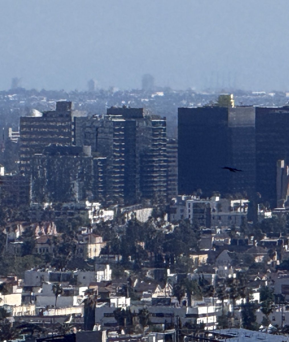 Hear in LA tweet media