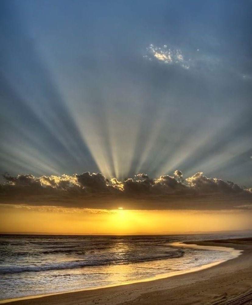 Senex Maximus tweet media