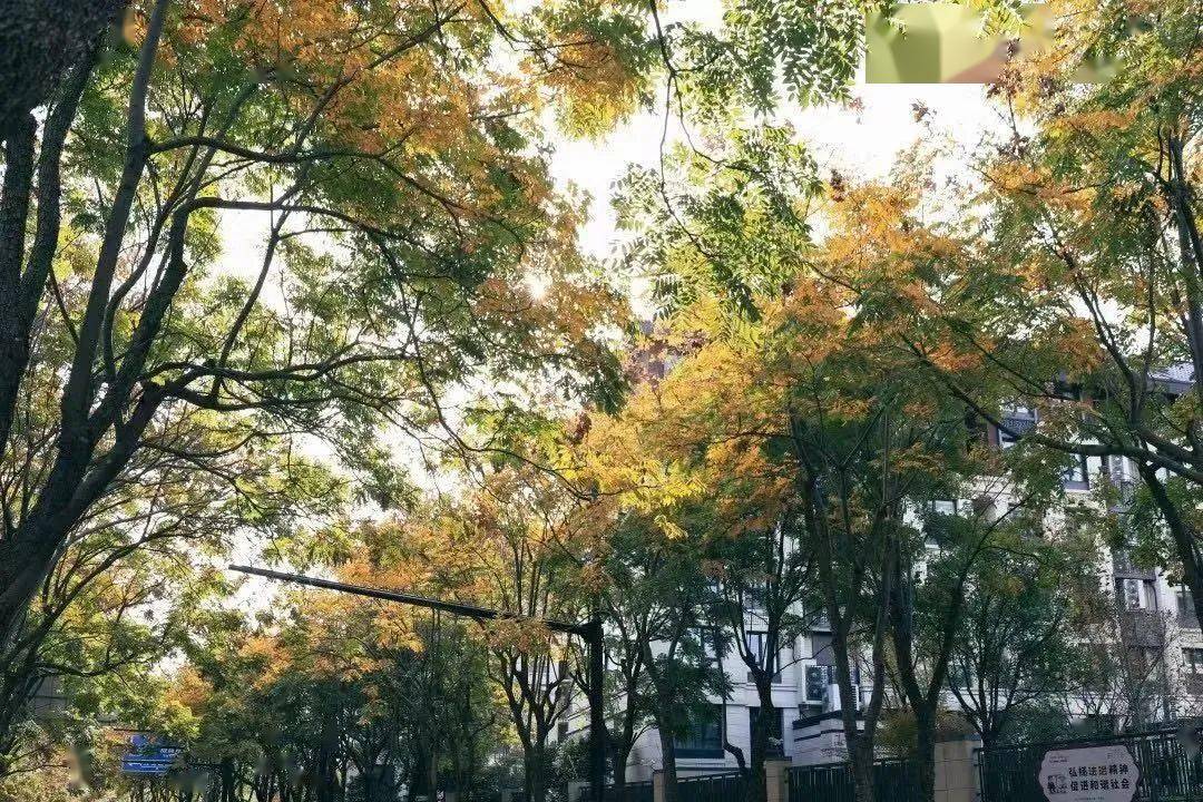 Okan76673713's tweet image. Swapped 30 mins of scrolling for morning walks—sunshine, birdsong, and actual energy now fuel my day  #SmallWins #LifeShift