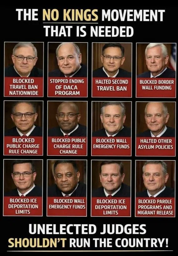 wolf_patriot737 tweet media