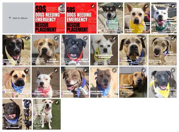 Karma Amore tweet media