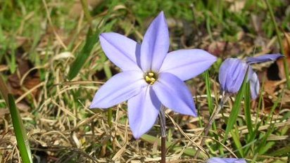 tanosiisupi_bot's tweet image. There is a purpose for which we came to this planet.
We don't forget it in the depths of our consciousness.
Busy days are merely hurdles in the game.

この惑星を訪ねた目的があります。
意識の深い部分では忘れてないんですよ。
忙しい日々は、単にゲームのハードルです。
#purpose #目的