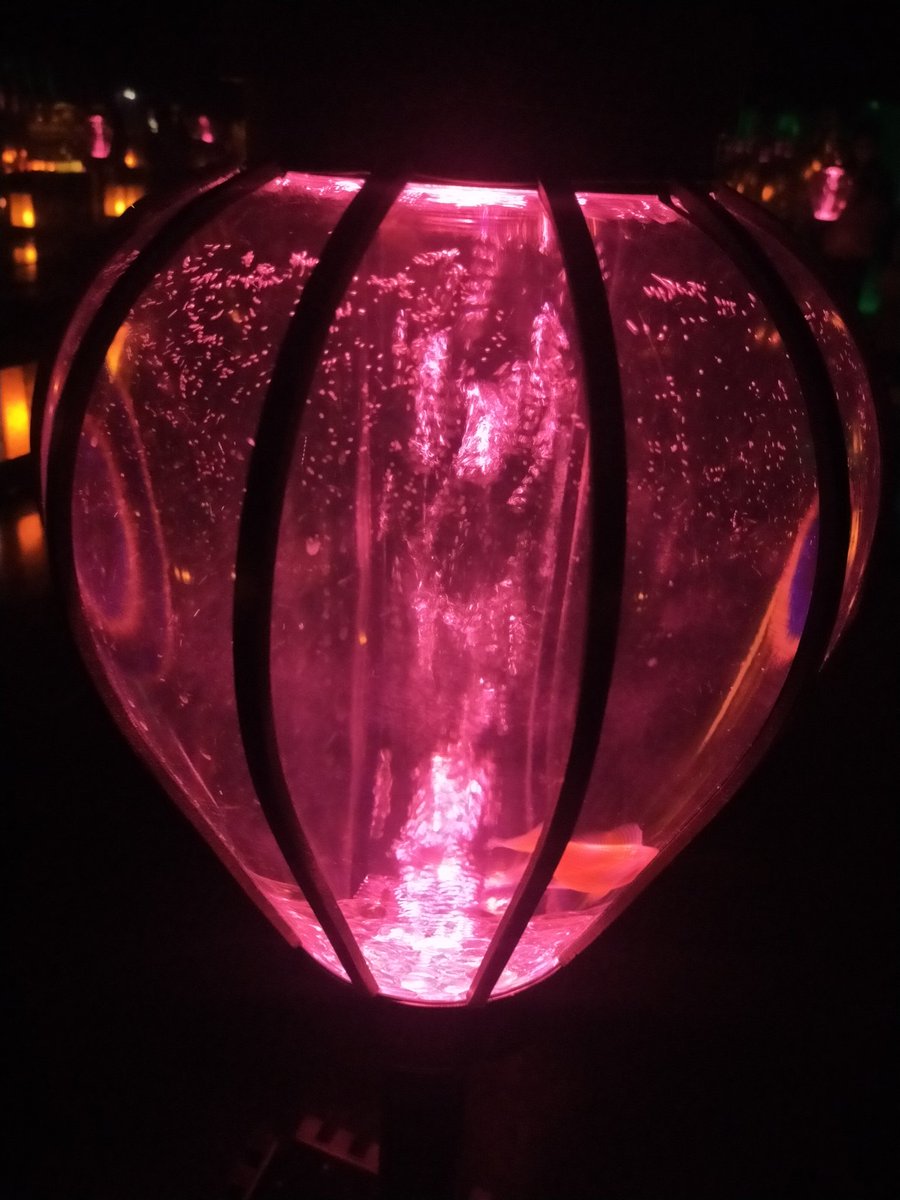 企画主（きかくぬし）@なんかおもろ企画を色々やる tweet media