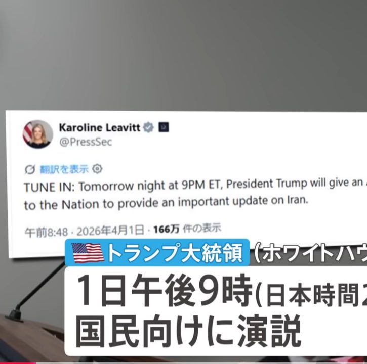 ぐれたん tweet media