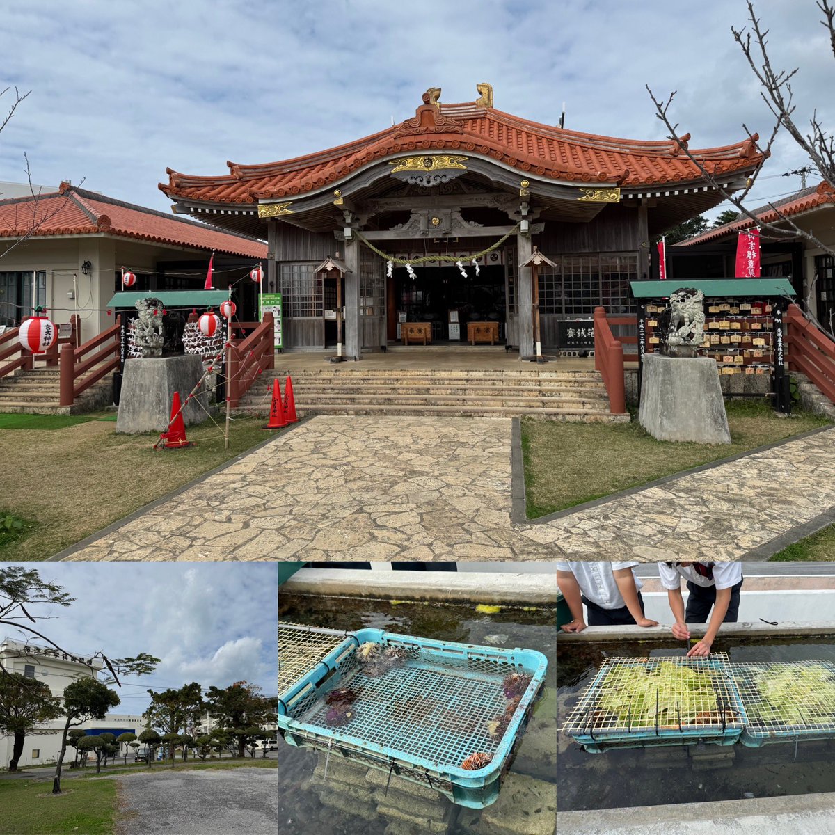 大日方樹(鉄道業界紹介)『鉄道員という生き方』発売中! tweet media