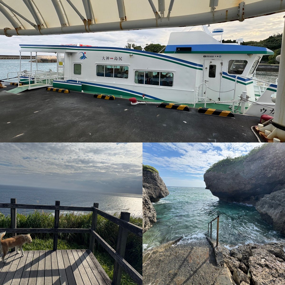 大日方樹(鉄道業界紹介)『鉄道員という生き方』発売中! tweet media