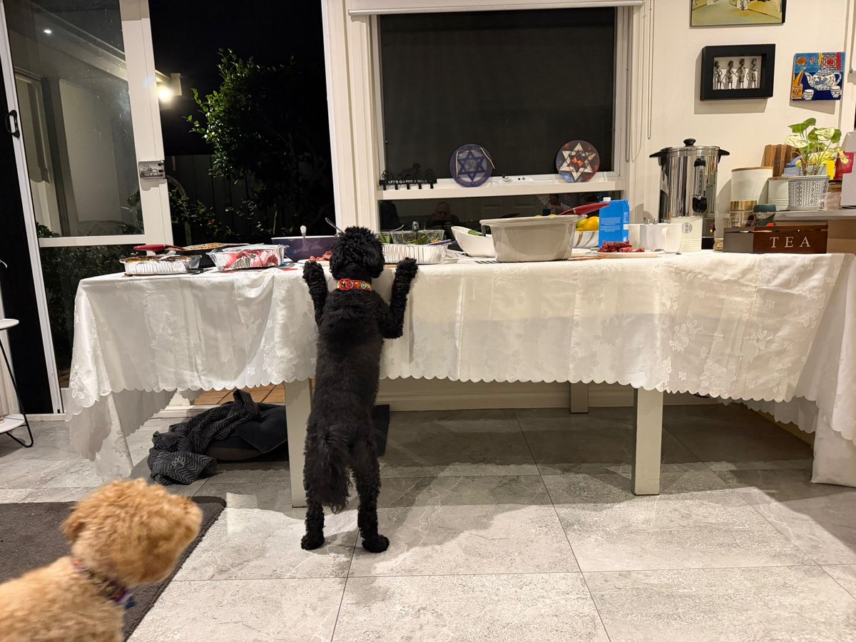 Erica Cervini tweet media