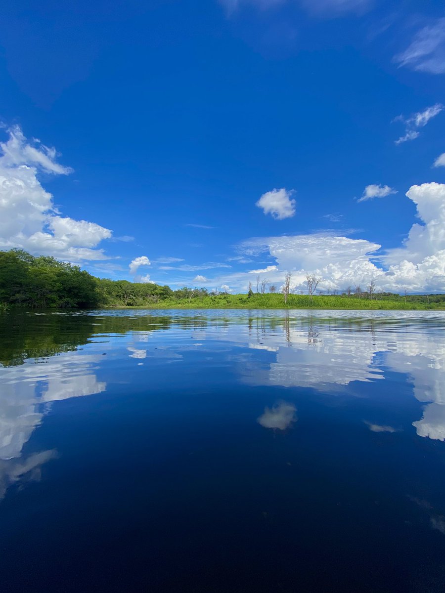 Victoria 🇻🇦. ⋆♱ tweet media