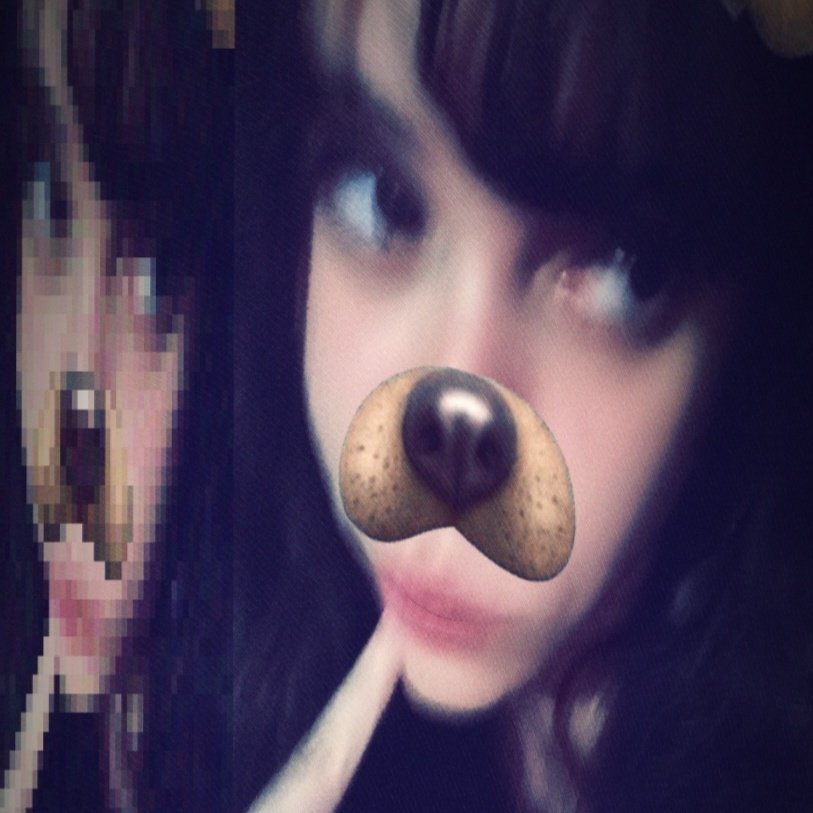 bibi zoiuda tweet media