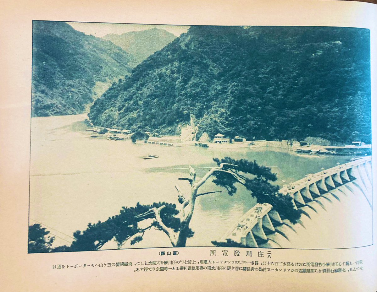 百貨店大家🕊 tweet media