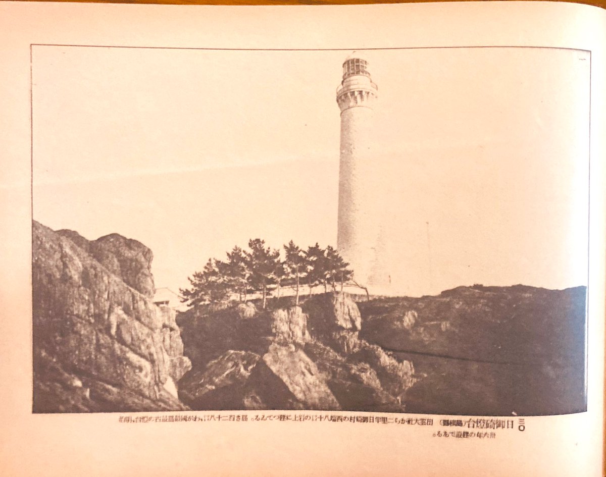 百貨店大家🕊 tweet media