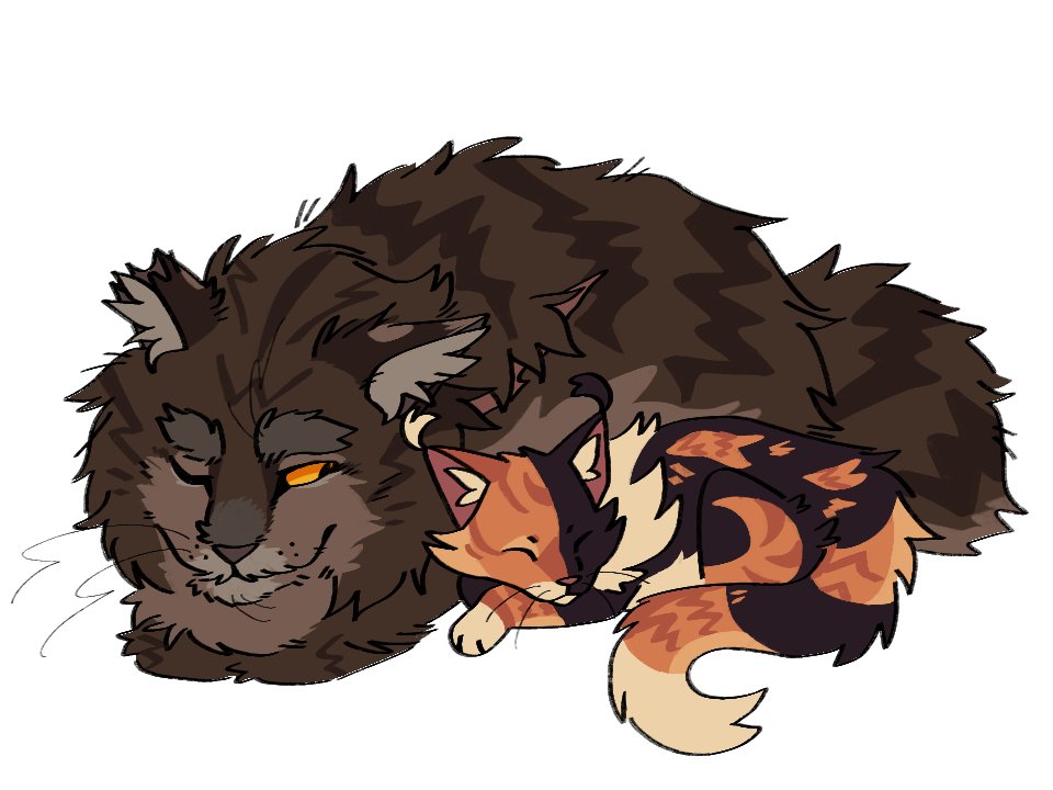 Sir Kricketot tweet media