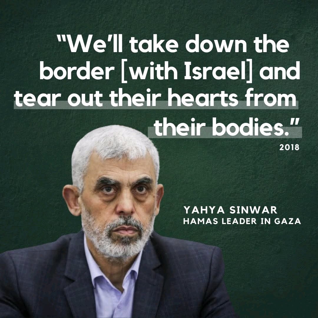 Sheila Greenfield 🔯 tweet media