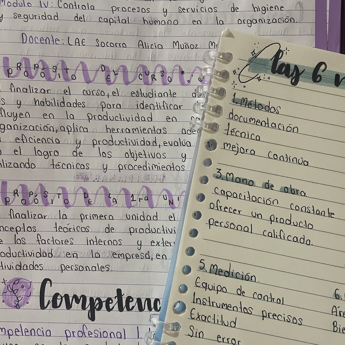 ⟡ liv 𓏧 🪽 tweet media