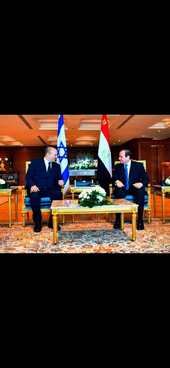 ebnoutalibist tweet media