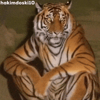 JulzCzar tweet media