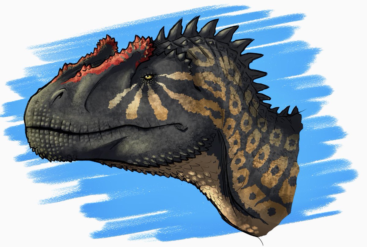 🎸 ShamroknRoll ❌⭕️ tweet media