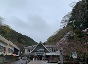 Takao_Tozan's tweet image. おはようございます。 
午前９時現在、高尾山麓、ケーブルカー清滝駅、高尾山 駅の天気は「雨」、気温は「１０度」です。 
ケーブルカー、リフトともに通常通り運行しています。 #高尾山 #ケーブルカー #リフト