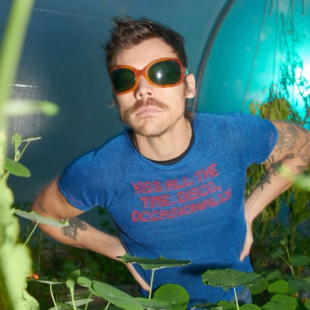 Harry Stats tweet media