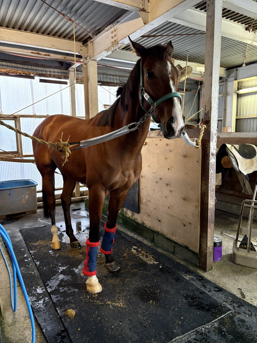 RYOMAステーブル tweet media