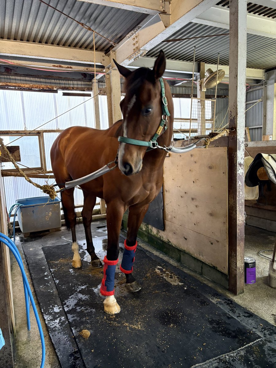 RYOMAステーブル tweet media