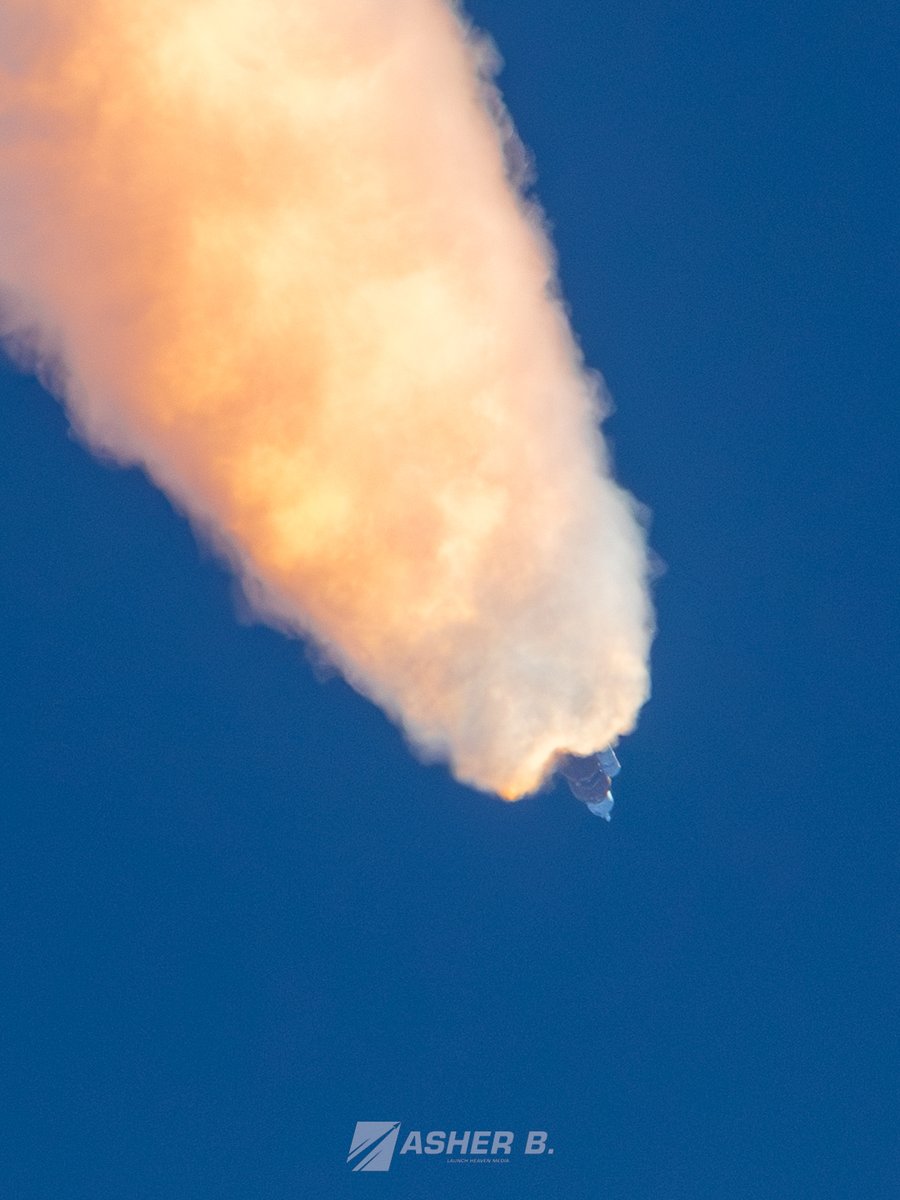 Asher B. tweet media