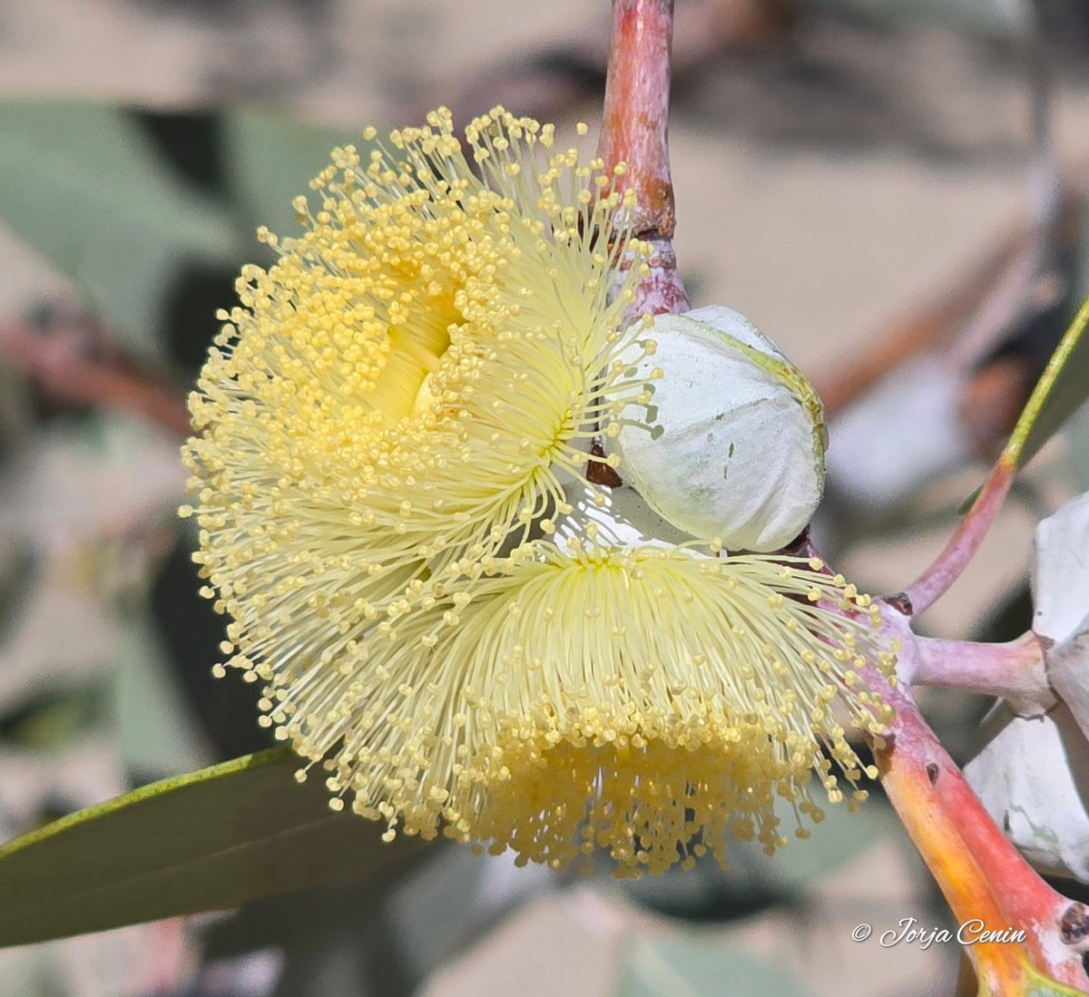 Into Nature Photography with Jorja tweet media