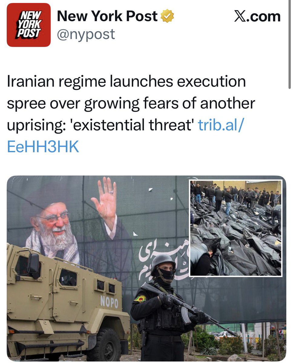 Kat Kanada tweet media