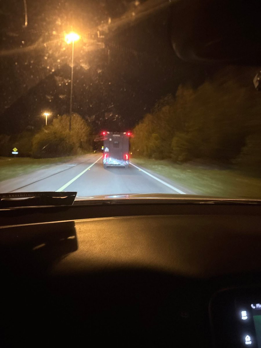 My Lovely Horse Rescue tweet media