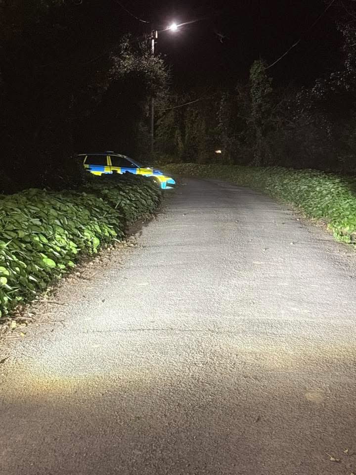 My Lovely Horse Rescue tweet media