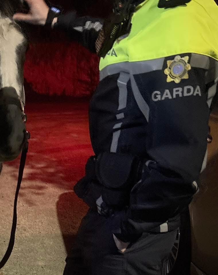 My Lovely Horse Rescue tweet media